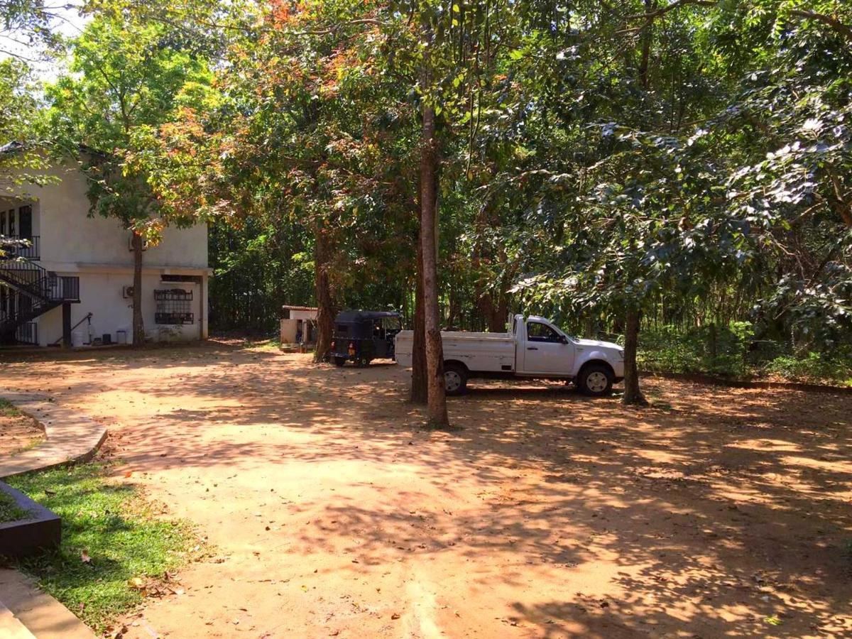 Flower Garden Eco Village Sigiriya Exterior photo