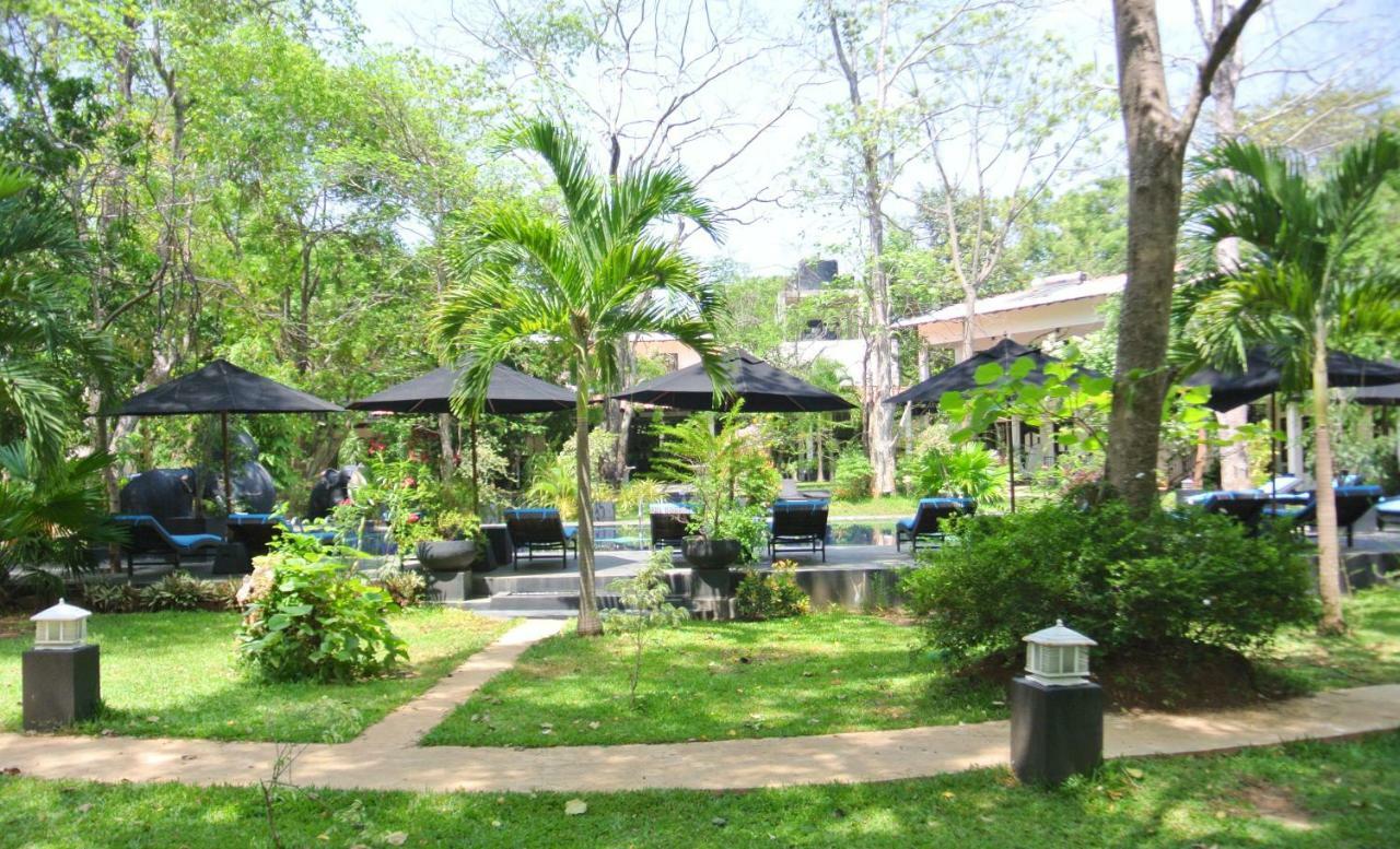 Flower Garden Eco Village Sigiriya Exterior photo